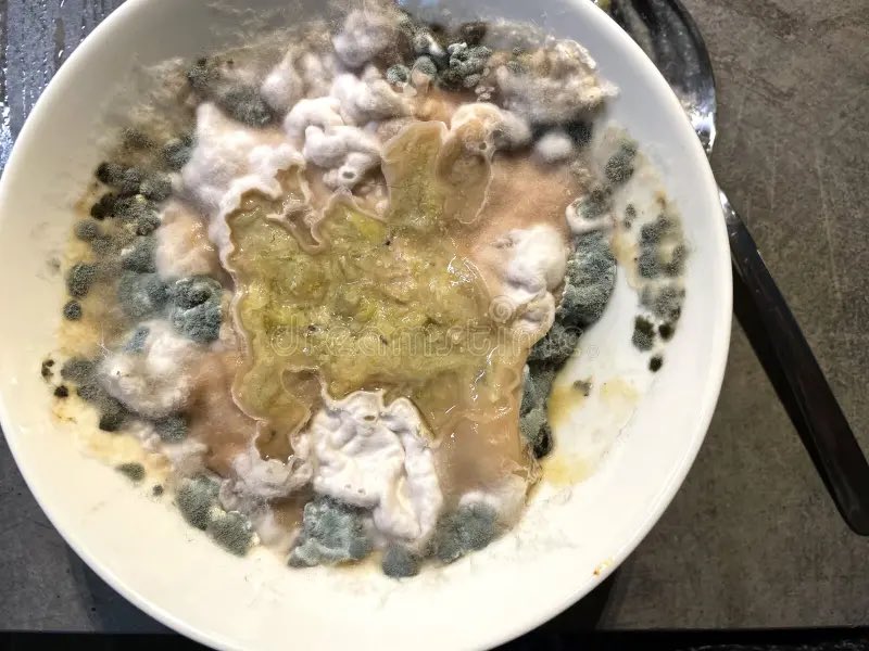 Notapiggynomore's tweet image. Look at this EVERY TIME you feel hungry today. Stare at it for a minute and hunger is gone #edtw #grosspo #mealspo #edtwt #wl #harshmotivation