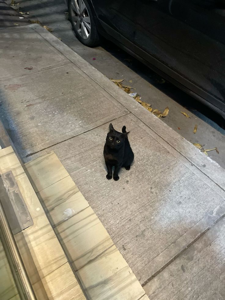 Jae𓈒˚˖𓍢ִ໋❀ tweet media