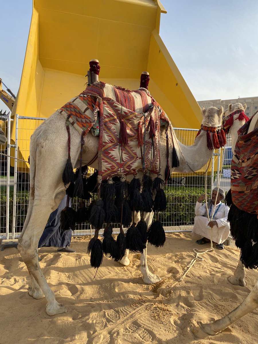 م. محمد الرسيني tweet media