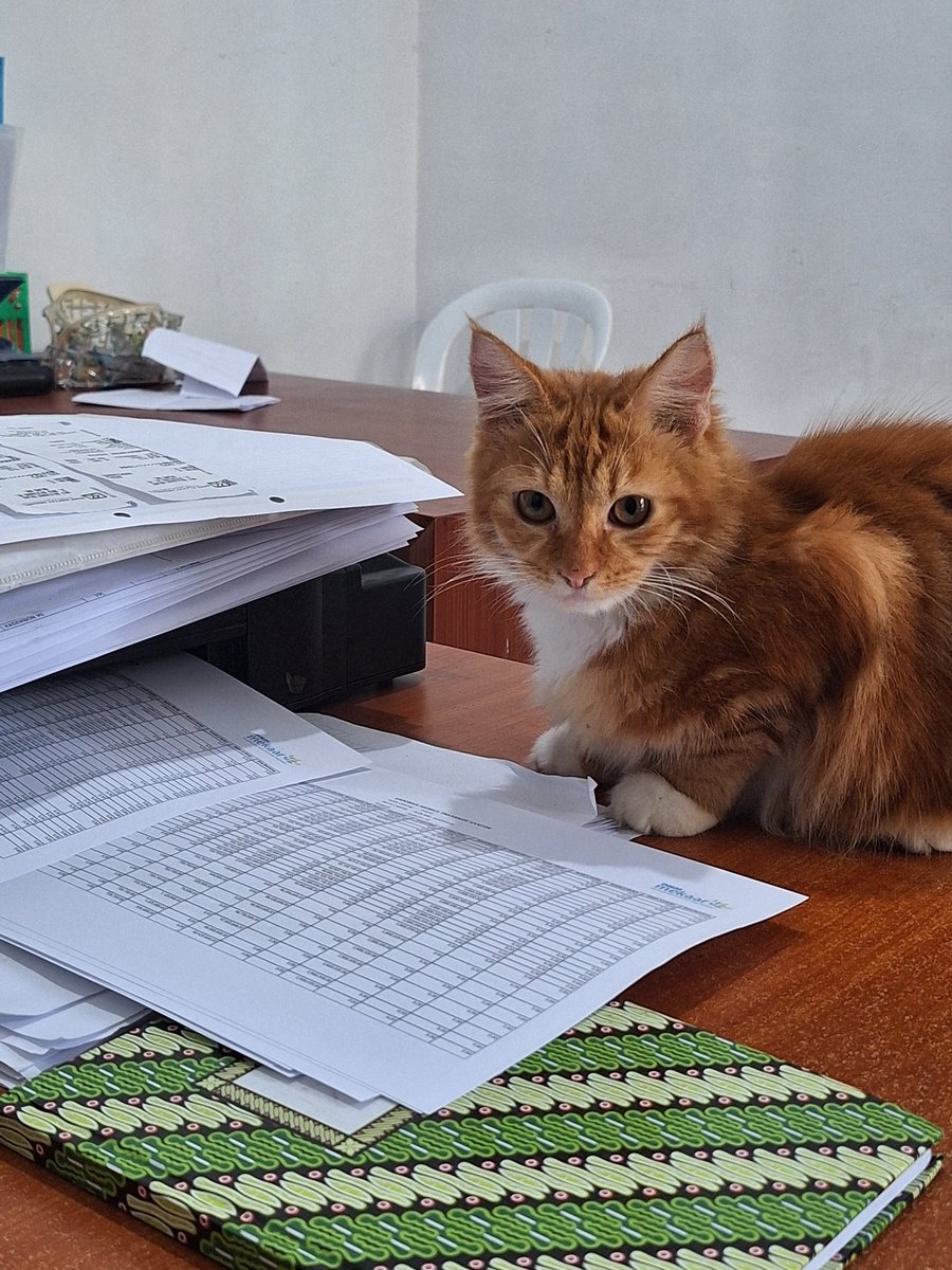 Cheddar_diri's tweet photo. Karyawan intern gak paham cara make printer https://t.co/9ZoiZNUE6B