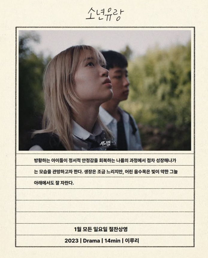 CParkFilms's tweet image. 강릉 무명극장의 2026년 첫 프로그램으로 이루리 감독님 &amp;lt;소년유랑&amp;gt;이 1월달의 매주 일요일에 상영됩니다.

instagram.com/reel/DSYujbQk7…