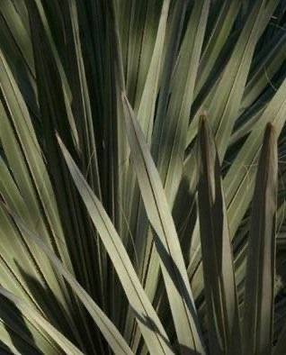 rinter's tweet image. city girl life,