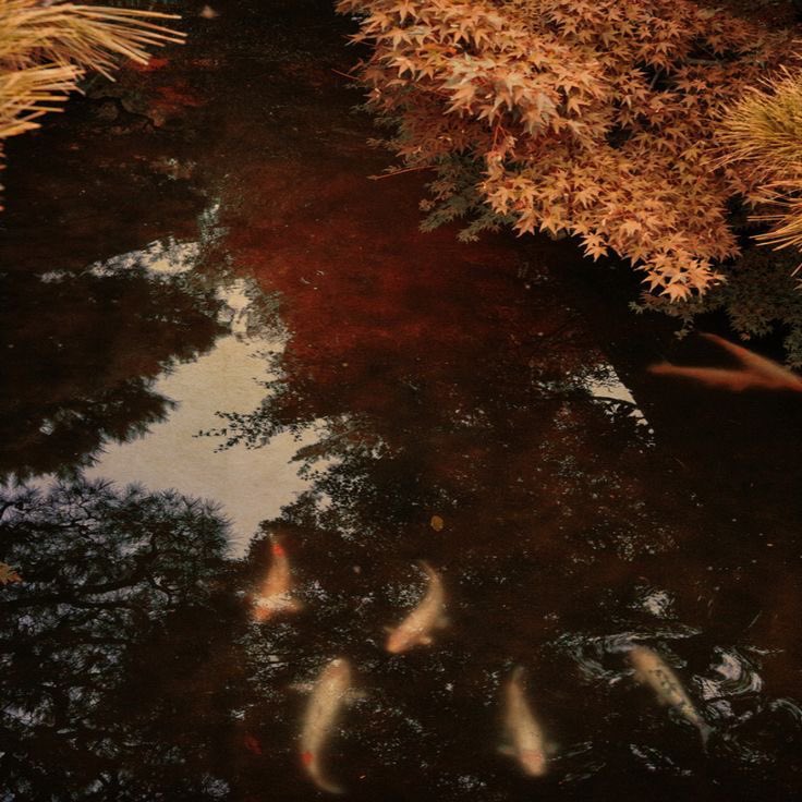 rinter's tweet image. city girl life,