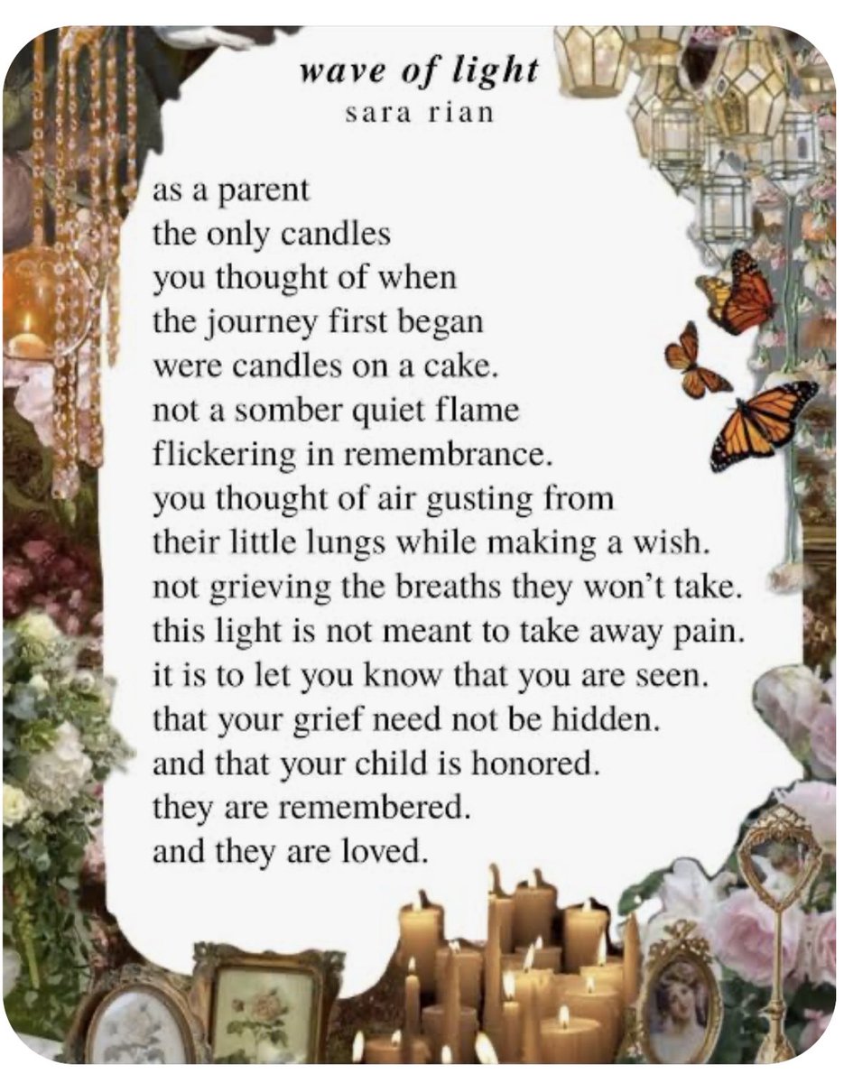 Breeda Murphy tweet media