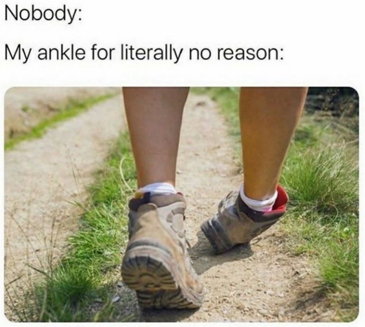 Respectful Memes (@respectfulmemes) on Twitter photo 