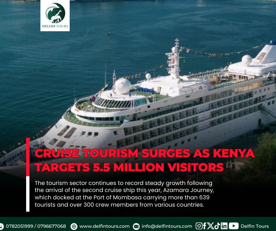 Delfin Tours & Safaris tweet media