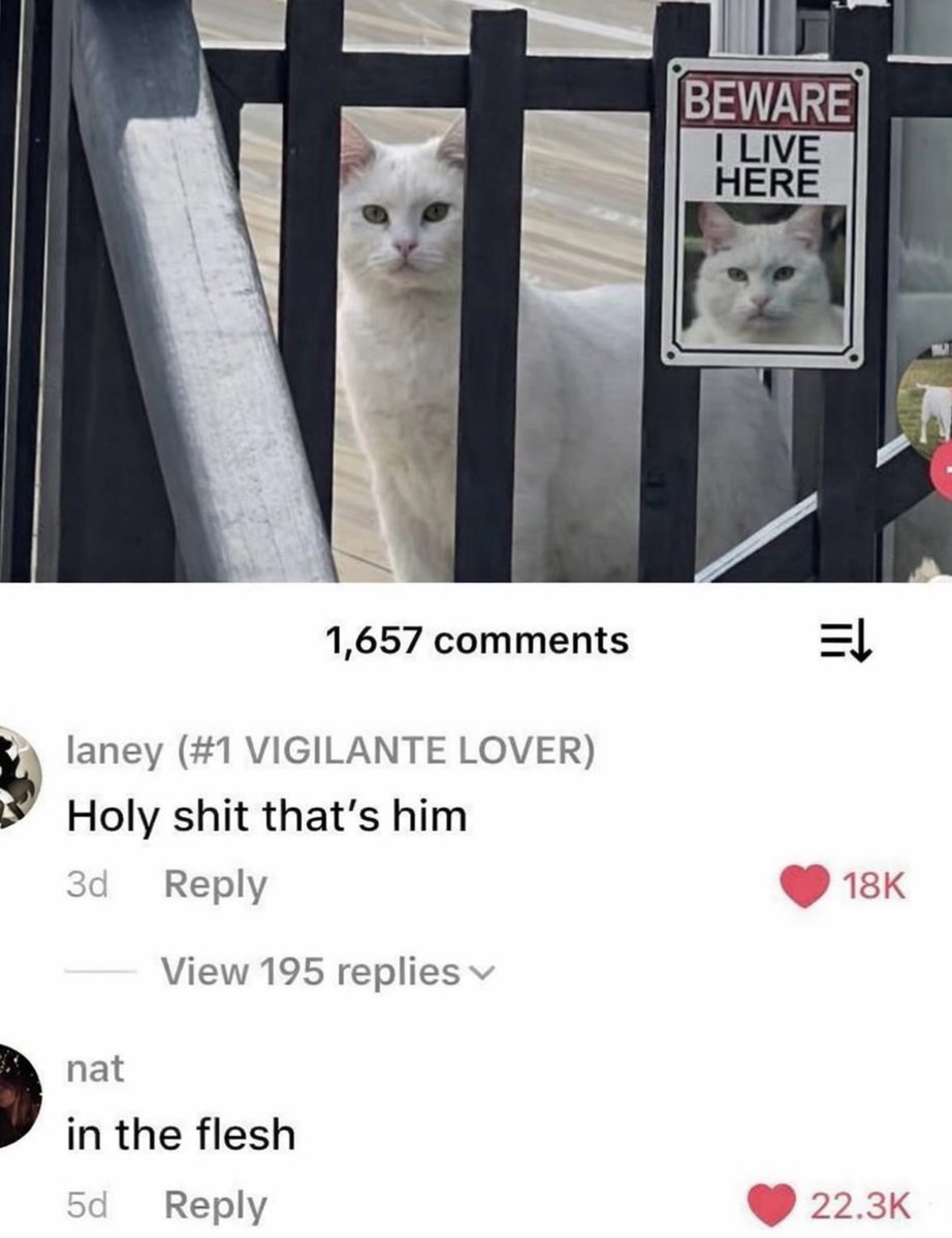 RespectfulMemes's tweet photo. https://t.co/IRGRyaDFHb