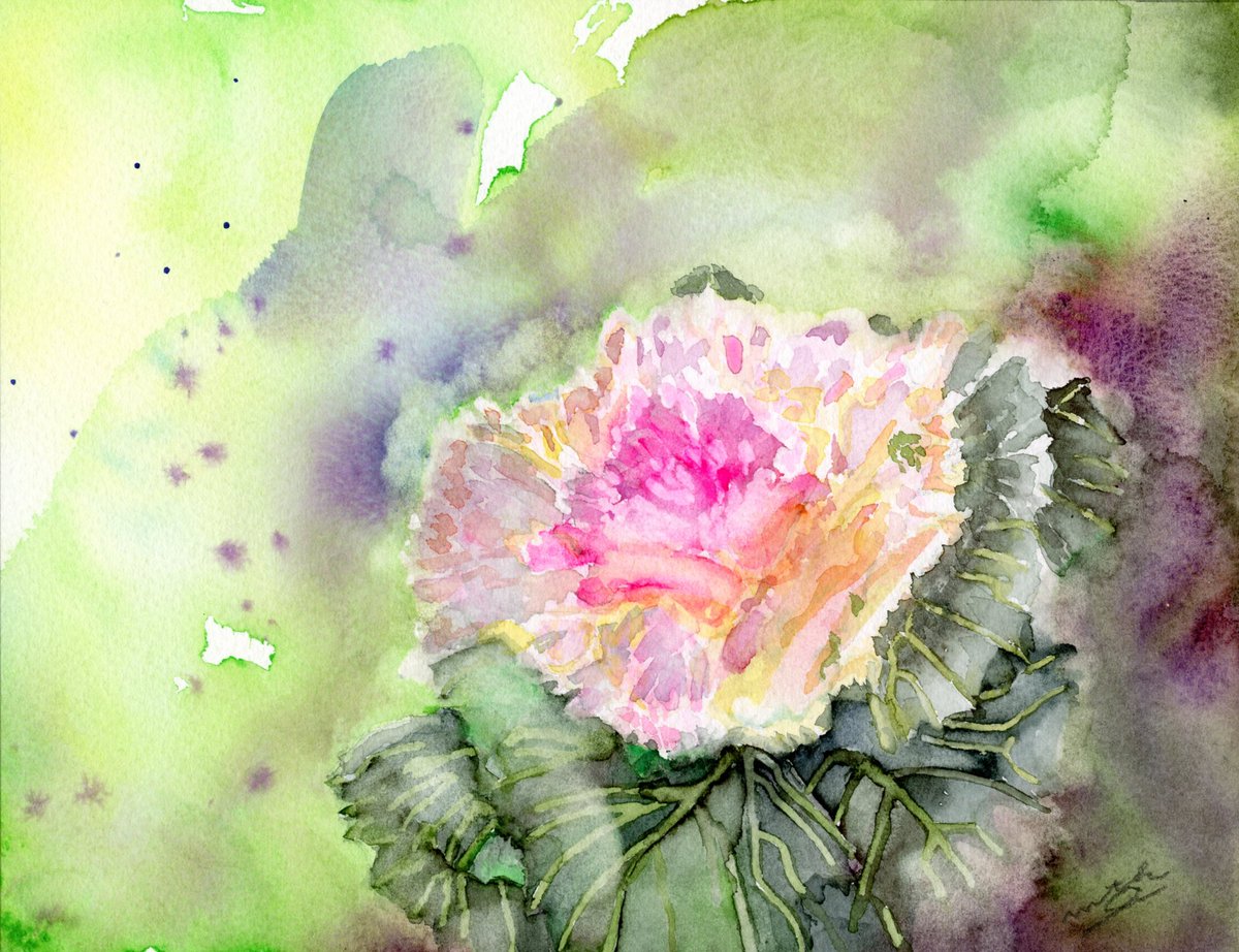 葉ぼたん】 やっと描き初めです。 皆様今年もよろしくお願いします