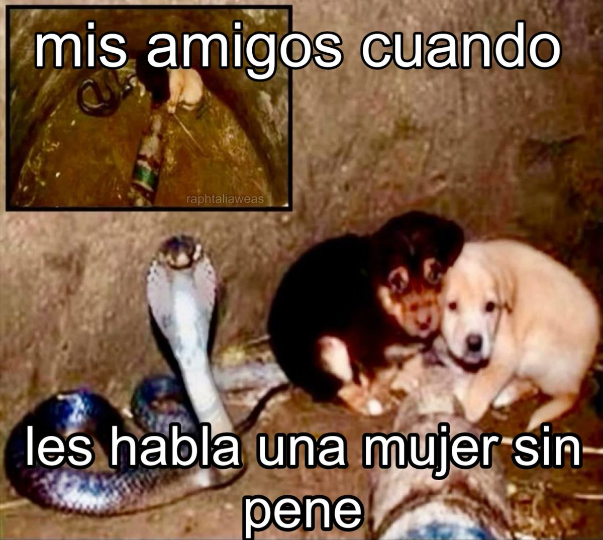 CENIZEN's tweet image. 