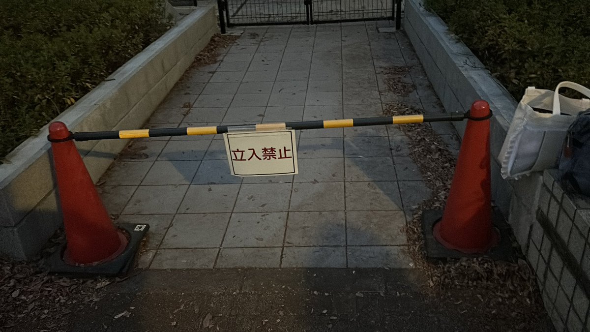 ちーちゃん tweet media