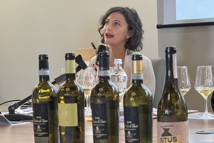 DoctorWine1's tweet image. #Intus, la nuova Falanghina di @CantineIannella 
Alle Cantine Iannella, nel Beneventano, è nato un nuovo vino. Si chiama Intus ed è una Falanghina che affina in anfora.

Ce ne parla la nostra veneta in trasferta @SissiBaratella:  doctorwine.wine/degustazioni/i…

#DoctorWine