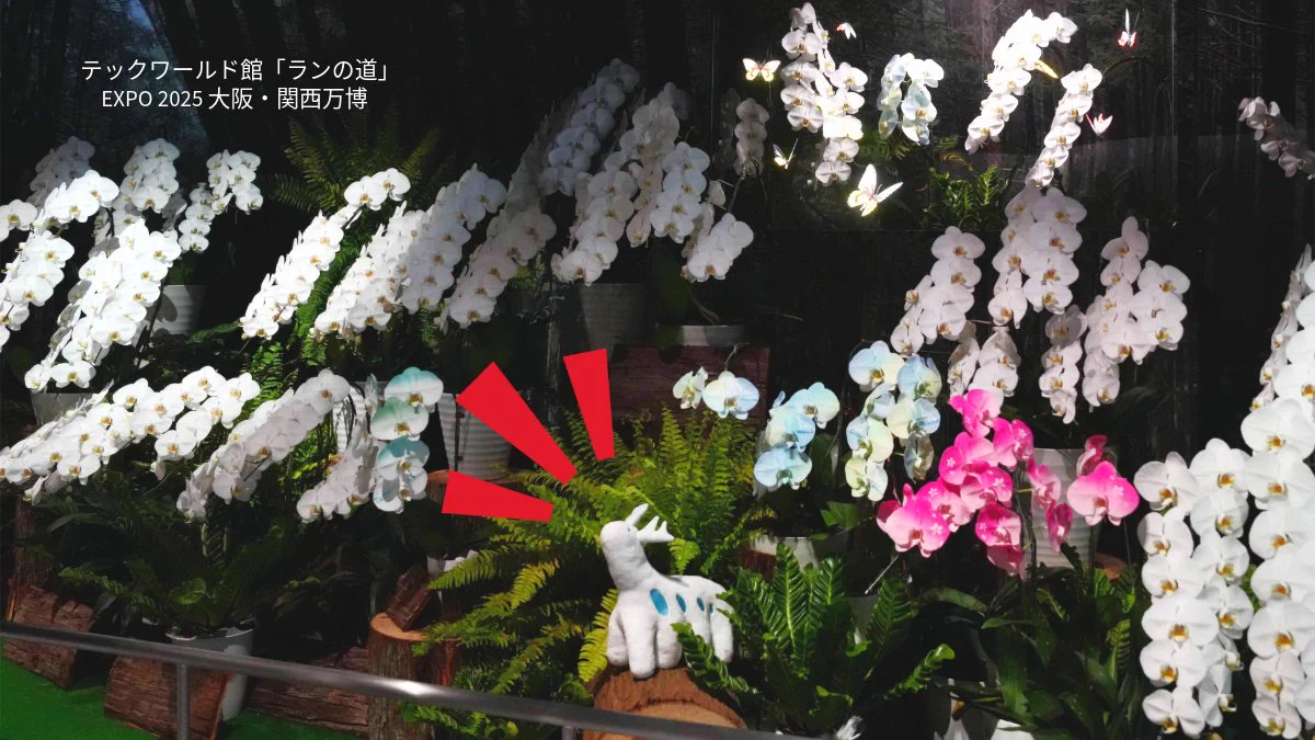 Taiwan in Japan 台北駐日経済文化代表処 on X: 