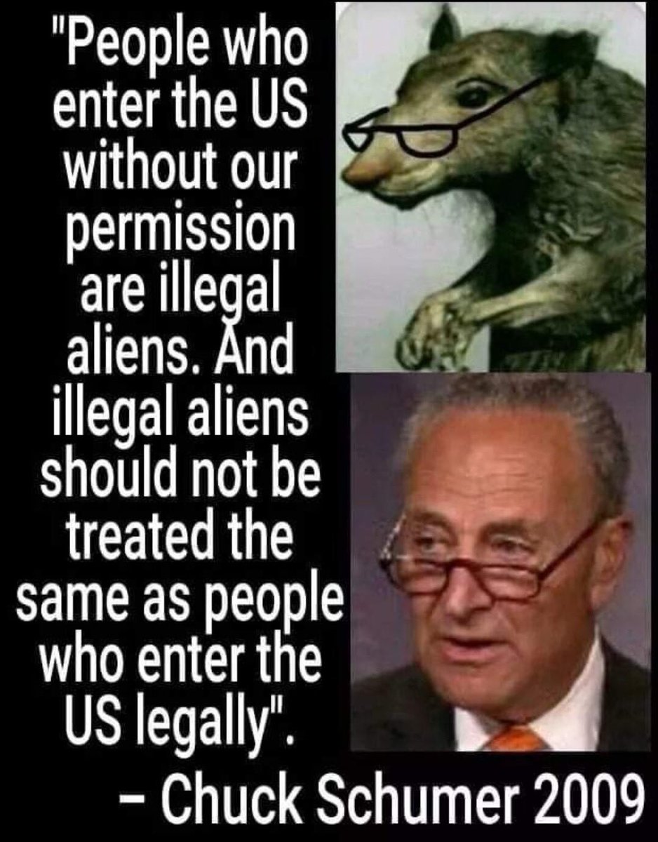 poepaux's tweet image. 