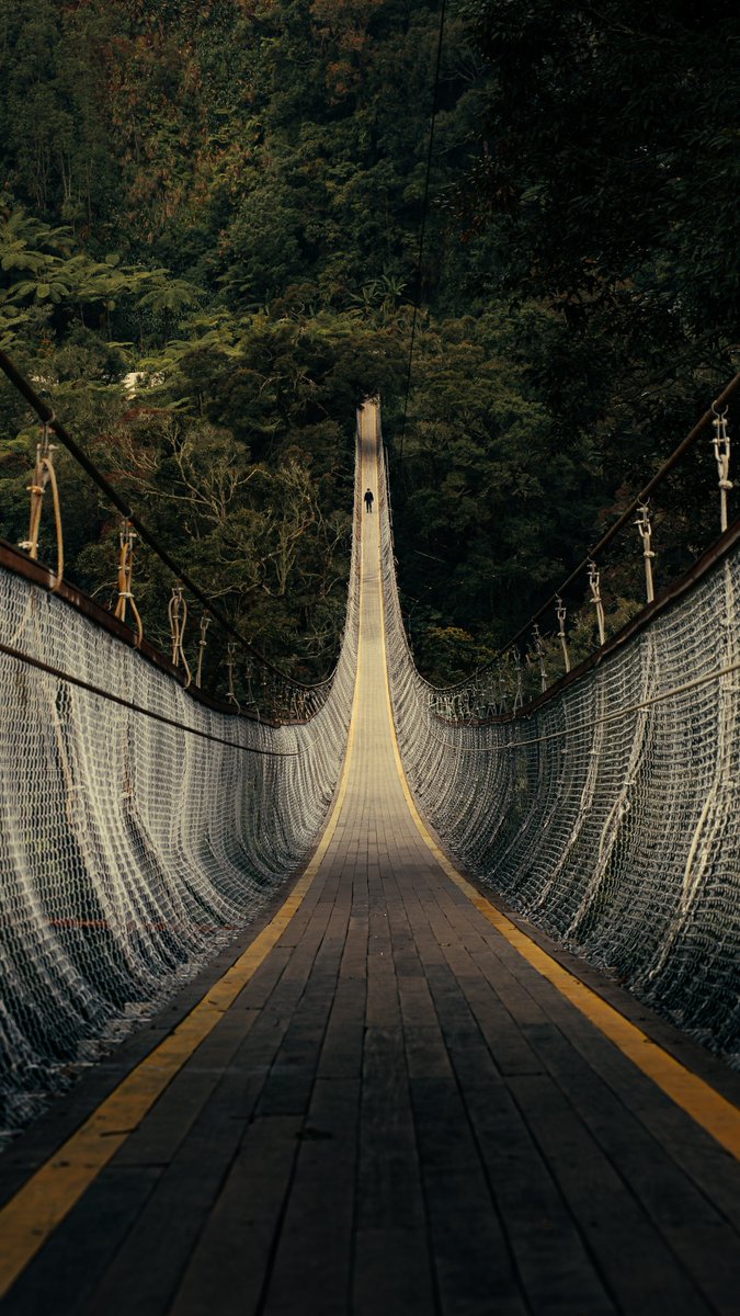 It's going to be a long road
let's take it together 🫂

#Photography
#travelphotography
#natura
#Indonesia