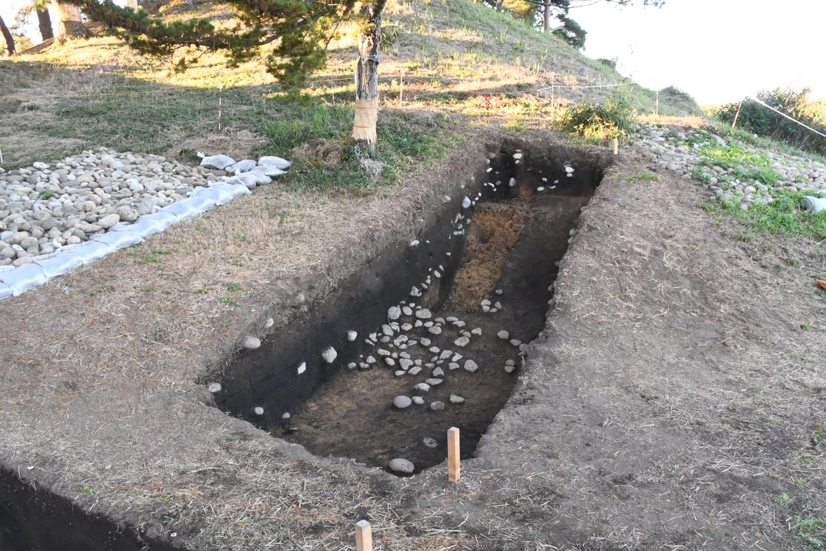 【下侍塚古墳発掘調査で分かったこと②】
東側くびれ部 (後方部側) でも、墳丘を削りだした後に黄色と黒色を混ぜた土を盛って、すそを整えていたことが分かりました。
さらに、傾斜が急になる部分は平坦に削りだしたようです👀。葺石は残っておらず、墳丘上部から転落してきたものでした。