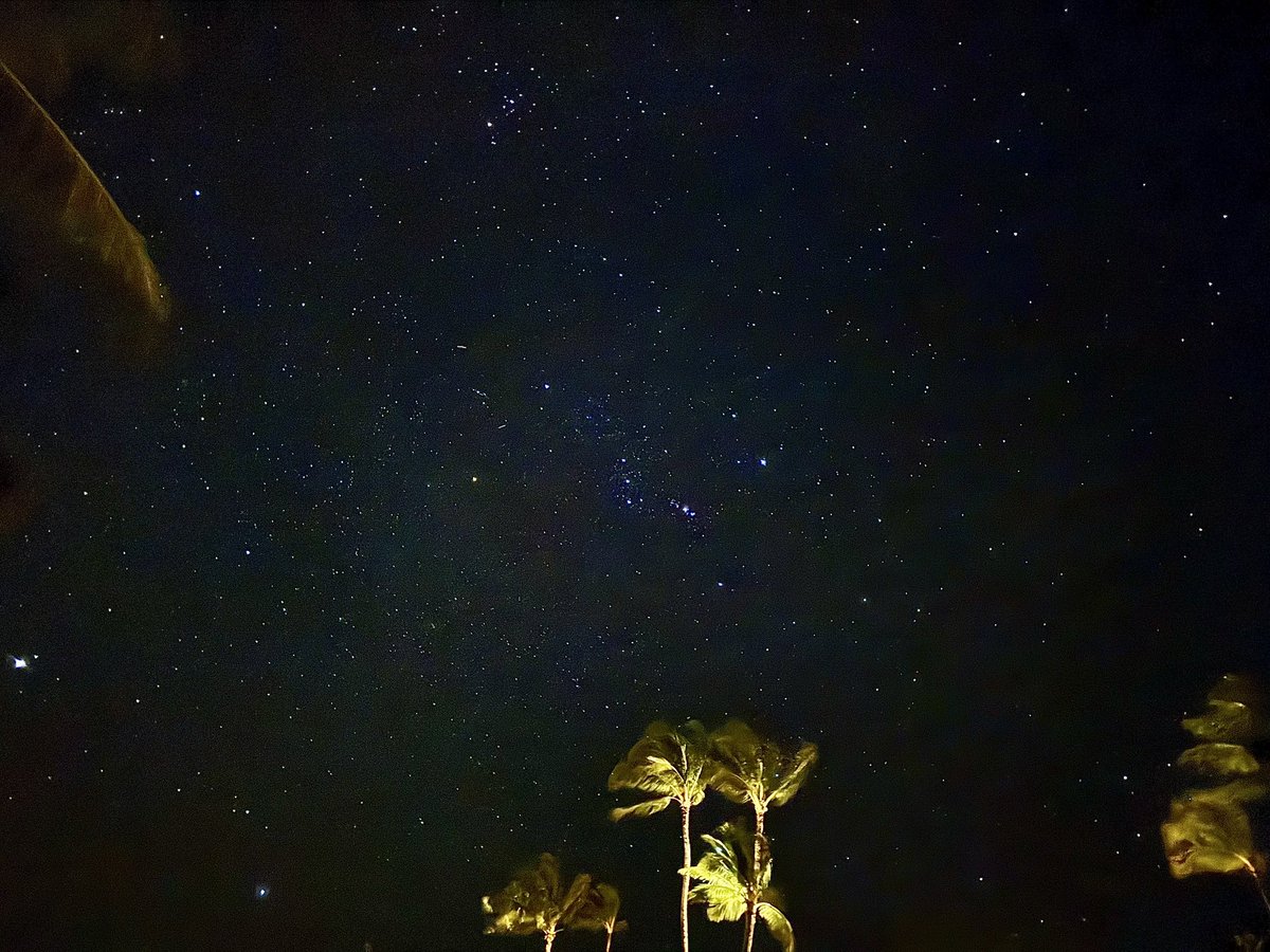 Caity Croft tweet media