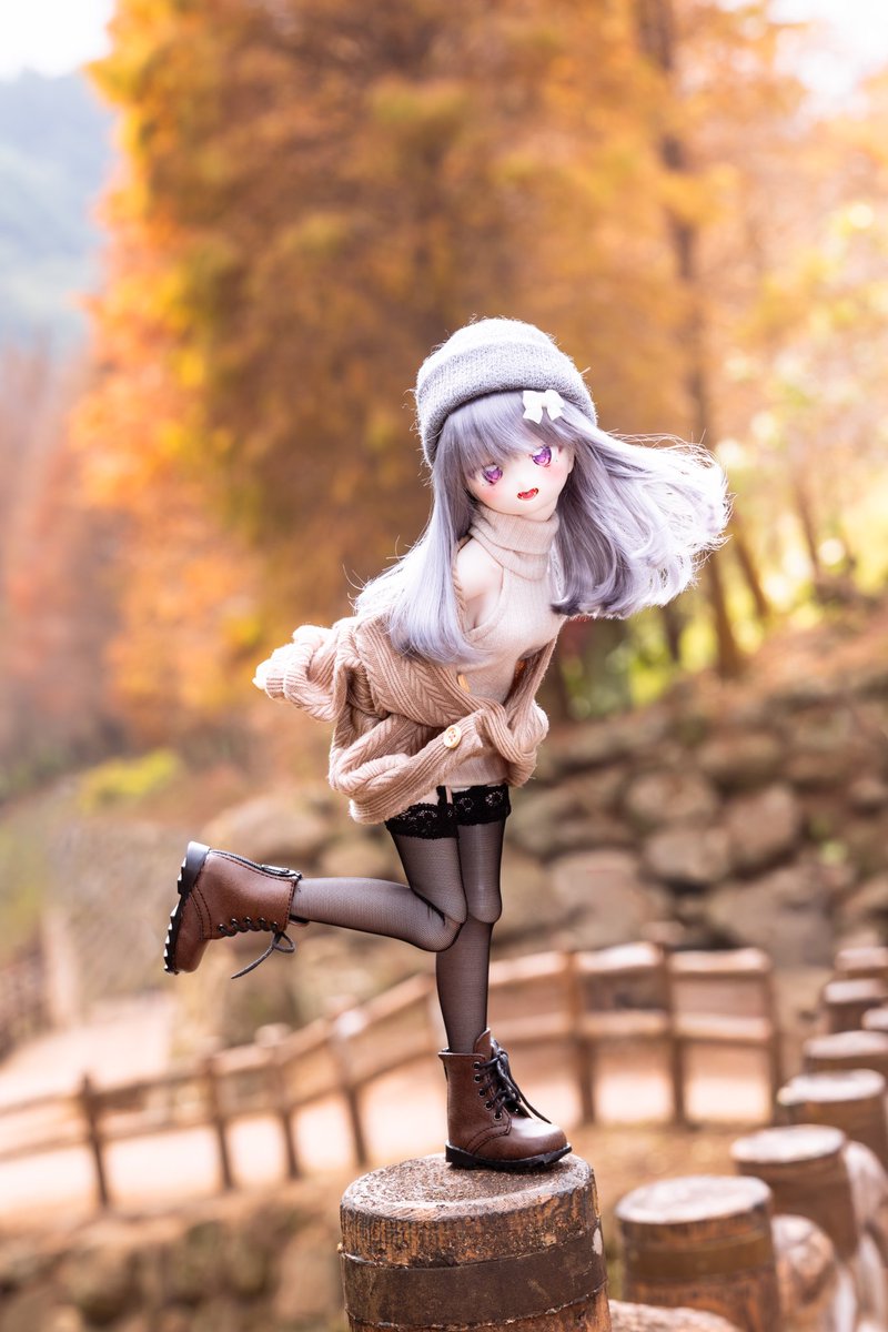 台湾にもうラクウショウベルが黄色になたの季節🍂🍂
ベルちゃん楽しそう🥰🥰💜💜
#さんかくっ子