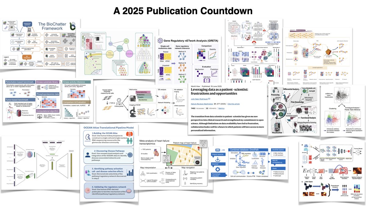 saezlab's tweet photo. We recently posted a "2025 Publication Countdown" series on LinkedIn. See here ➡️ https://t.co/y9ddnSVv1B https://t.co/AYEdaGIJWP