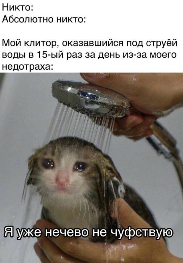 Last_old_man's tweet image. 