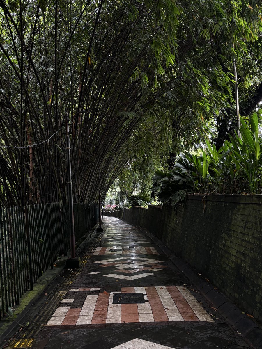 itsisnaa's tweet photo. Today’s walking dump, but make it all roads (does stairs count? Idk…)🌧️🚶🏻‍♀️ https://t.co/hWazqVHKMR