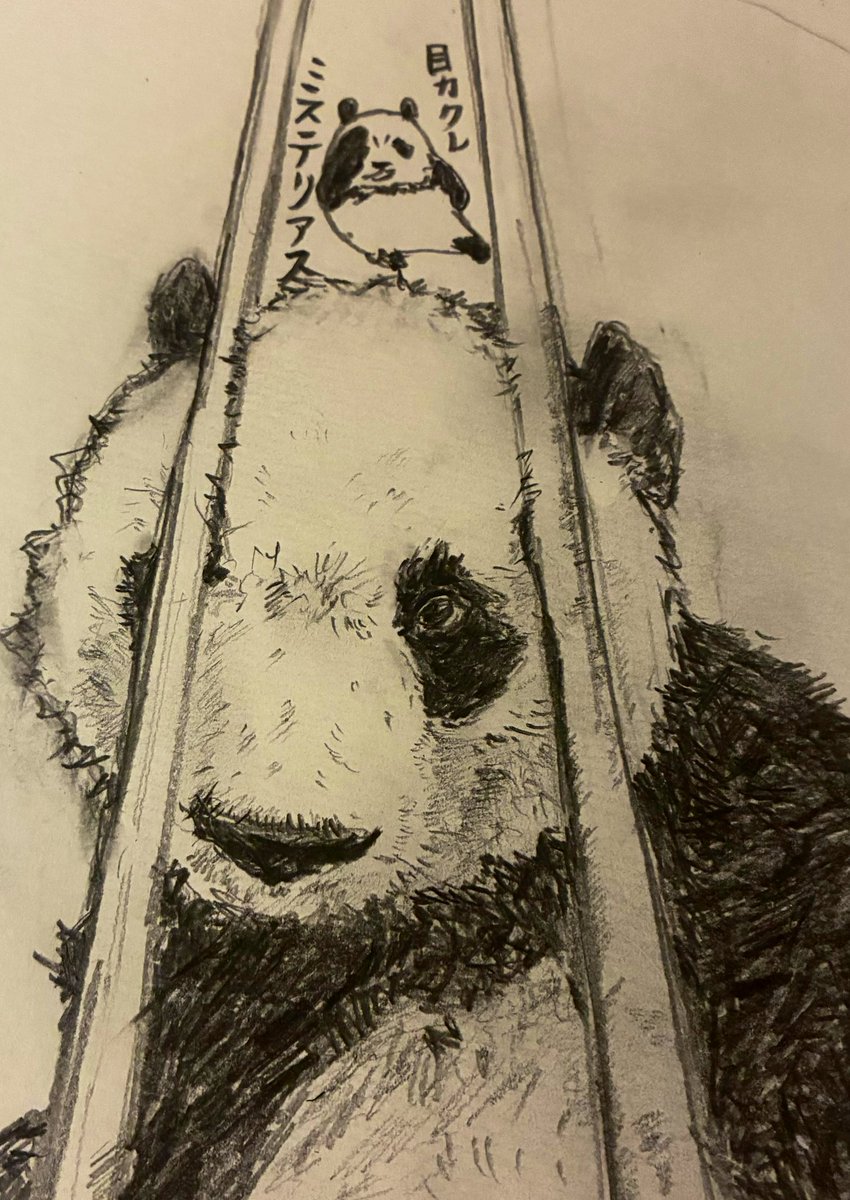 かっこいい圧タン
#自発的たんたんさんの思い出