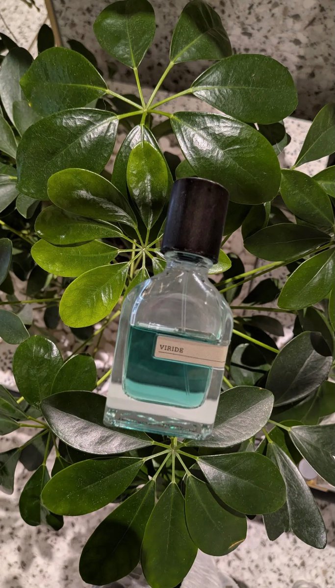 Orto Parisi｜ヴィリデ ラテン語で「緑」を意味するこの香りは確かな