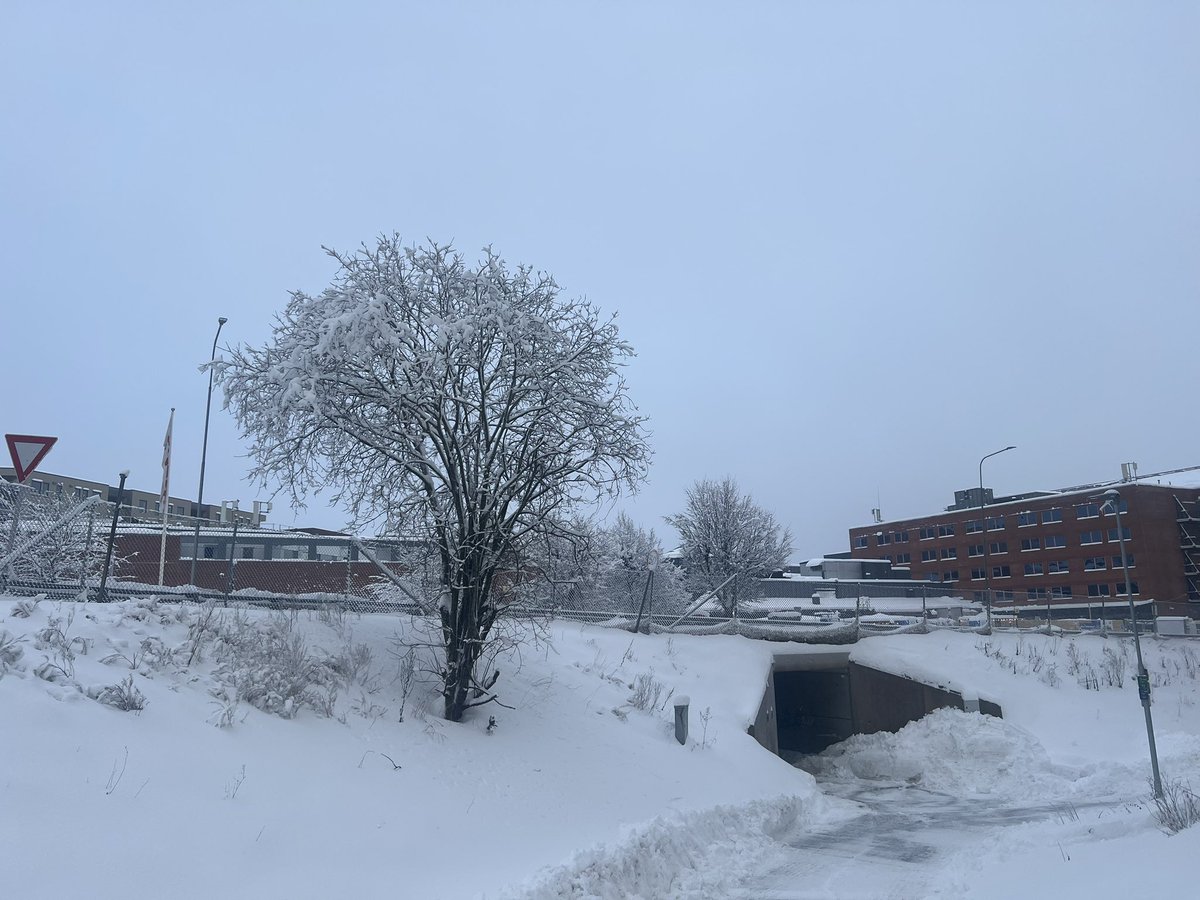 Norway 🇳🇴 during winter! 🥶