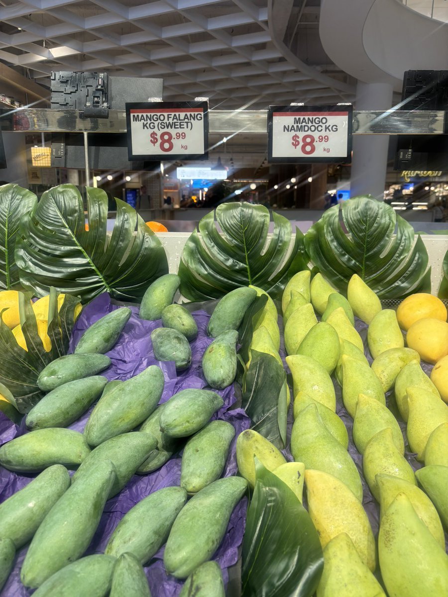 woraperth's tweet image. ข้อคิดที่ได้จากการคุยกับหัวหน้าวันนี้ เรื่อง Career Path

1. เวลาไม่เคยหยุดรอเรา ตั้งเป้าแล้วทำมันซะ ไม่งั้นตอนแก่ ๆ จะมาคิดว่าทำไมตอนนั้นไม่ทำ

2. โฟกัสในสิ่งที่เราควบคุมได้ สิ่งที่เราควบคุมไม่ได้เราต้องปล่อย เช่น นิสัยคนที่เราต้องทำงานด้วย, เพื่อนร่วมทีมถนัดด้าน x มากกว่าเรา…