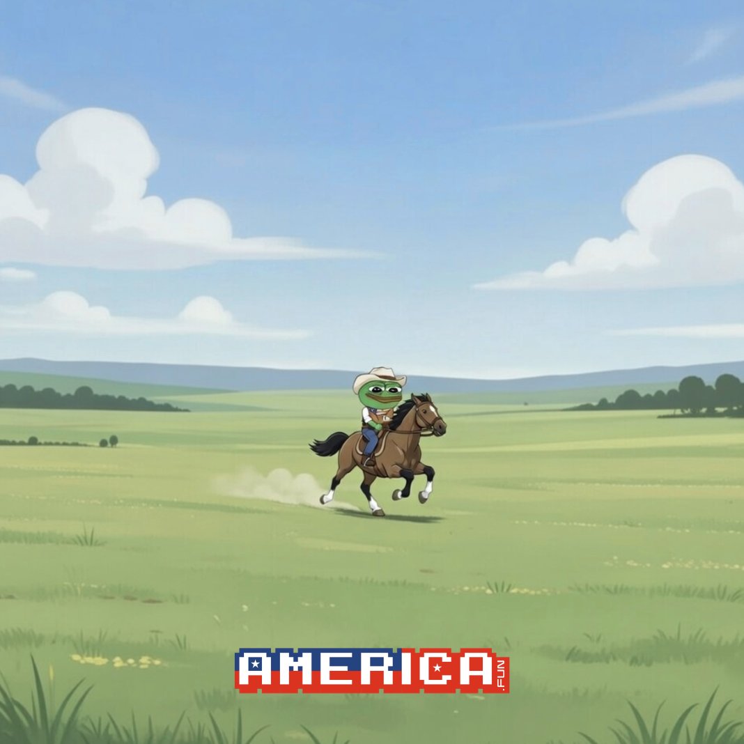 America.Fun tweet media
