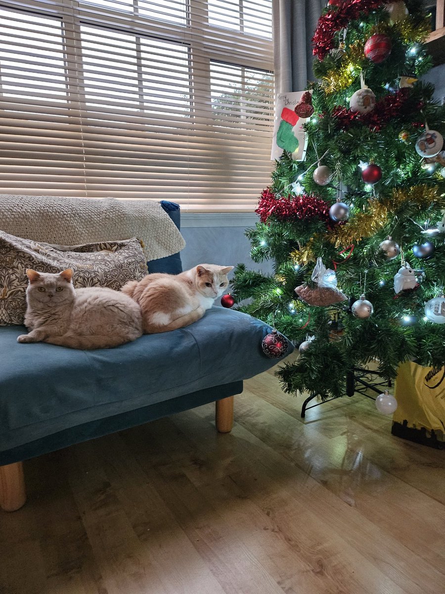 Simo Freschi | Comix84 tweet media