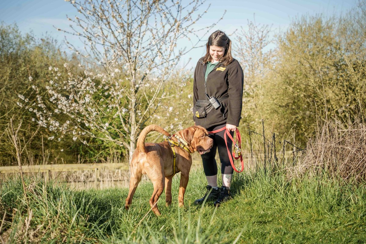 DT Loughborough tweet media