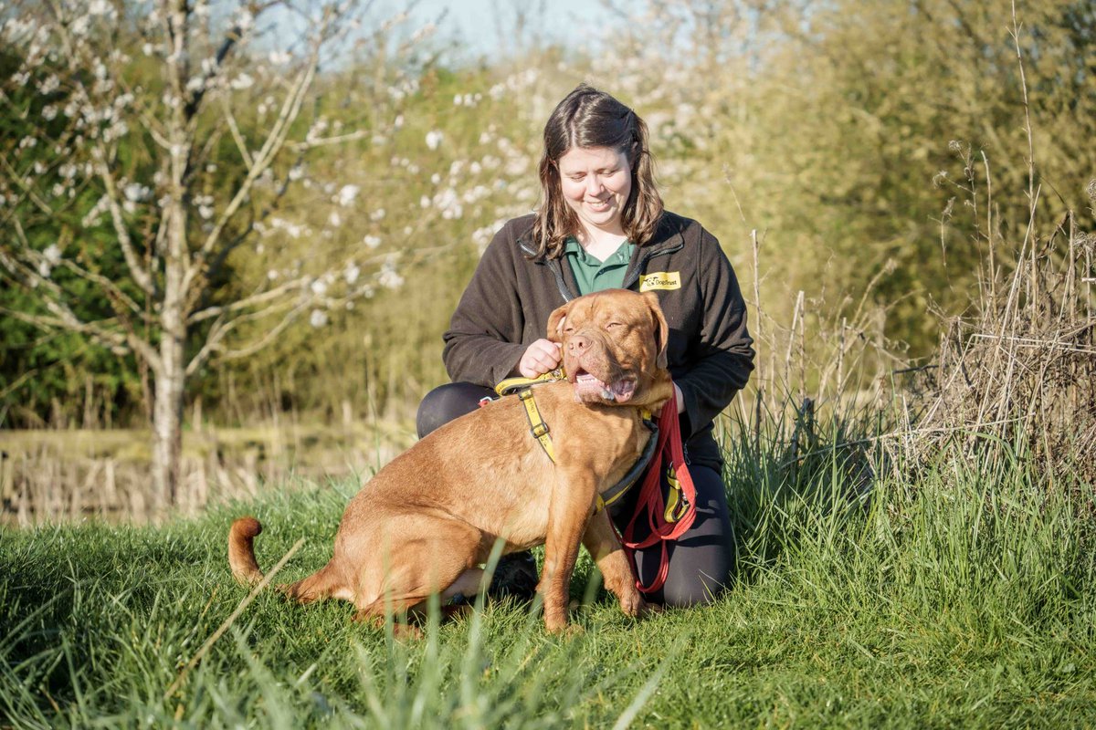 DT Loughborough tweet media