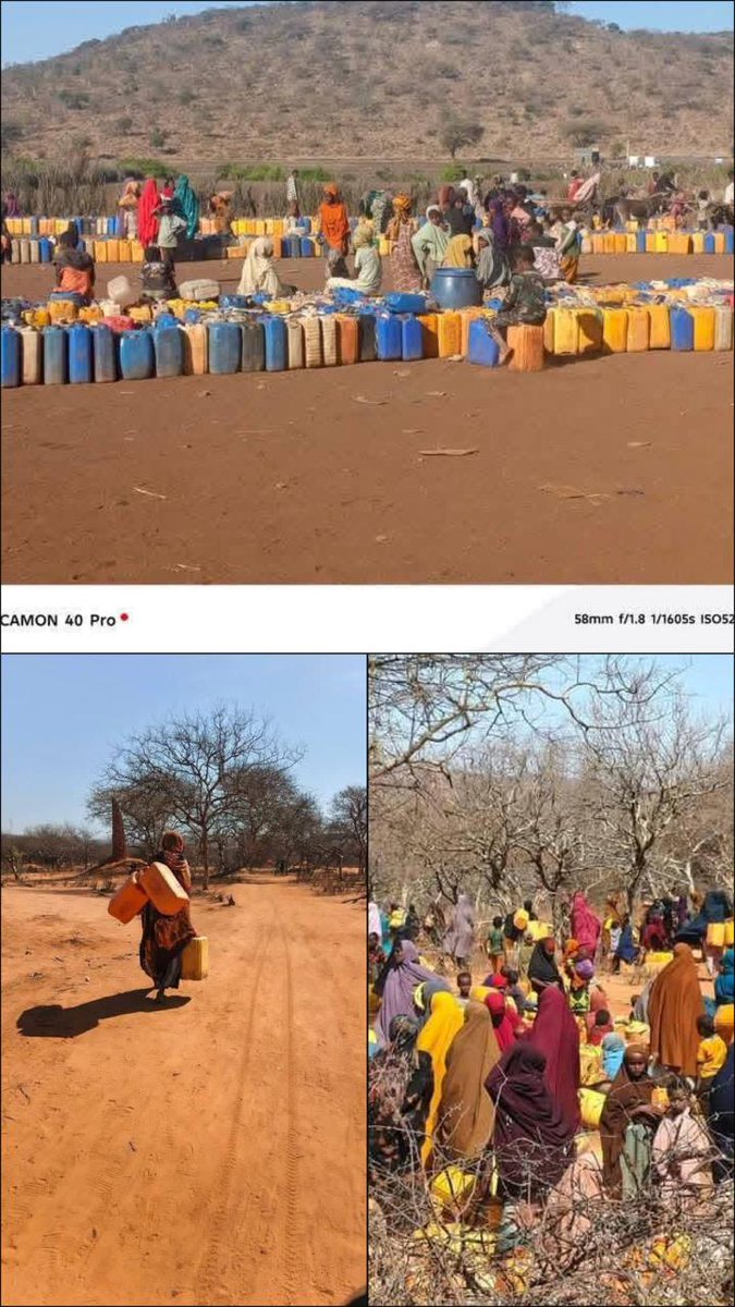 The drought situation in Mandera County is getting out of hand. As Ramadhan is closely approaching, residents are worried about what will happen next. The only hope is being prayers and Allah's mercy 🙏 <a href="/BillowKerrow/">FCPA Billow Kerrow</a> <a href="/abduhar/">Hon. Abdul Haro (Kore)- MP, Mandera South</a> <a href="/UN/">United Nations</a> <a href="/UNICEF/">UNICEF</a> <a href="/UN/">United Nations</a> <a href="/ManderaCountyF/">ManderaCountyForum</a> @manderacountygovern