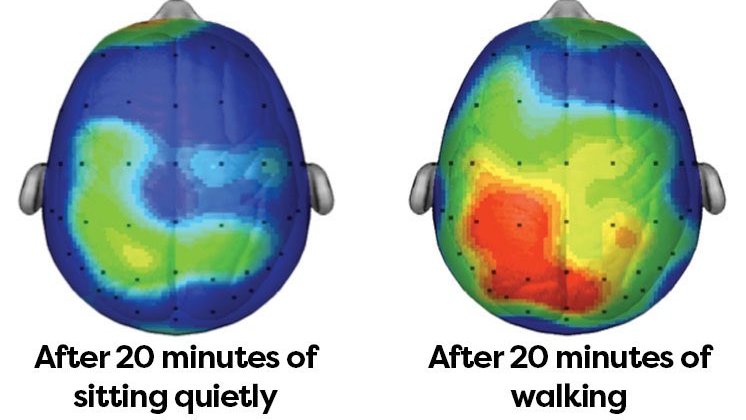 Helios_Movement's tweet image. "Sitting makes you retarded".
-Aristotle