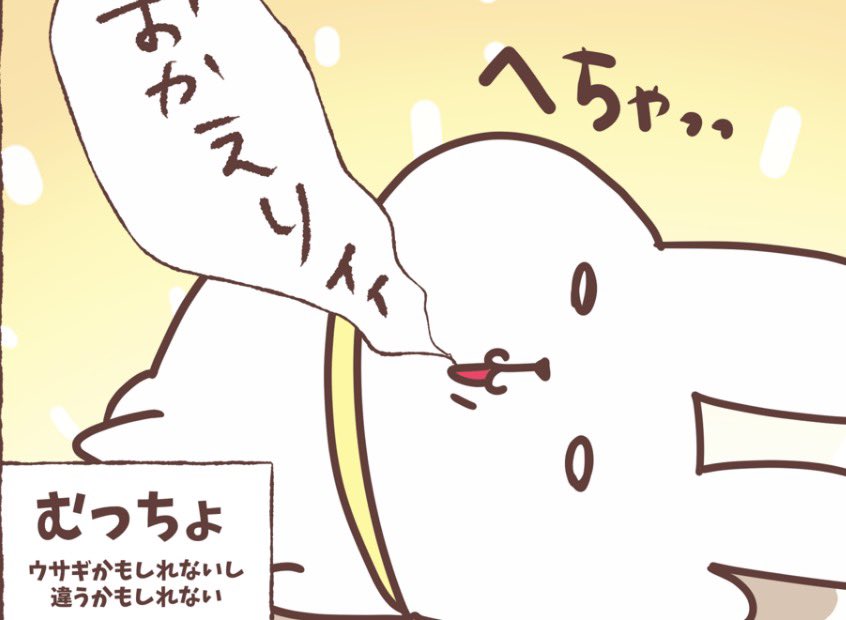 松尾もずく🐰うさぎのむっちょ tweet media