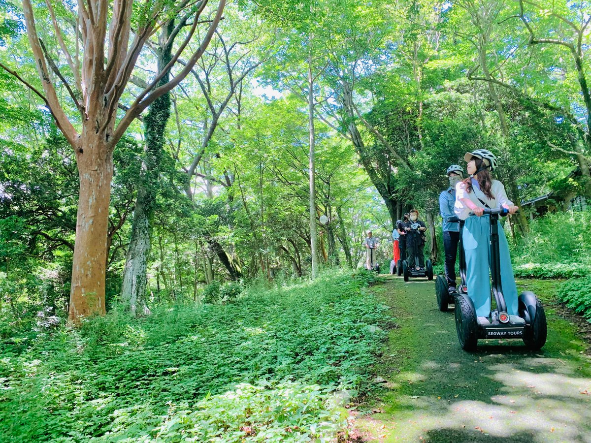 SegwayHakone's tweet photo. おそくなりましたが本年もどうぞよろしくお願いいたします😊
春までお休み中ですがツアーの紹介をします！
ツアーの舞台、九頭龍の森は静かな聖域。聞こえるのは風と波の音だけ。セグウェイでこの森を抜けると、心まで洗われるよう✨本年も皆さまとこの景色を共有できる日を楽しみにしています！ #箱根 https://t.co/BG0U5Qgoq7