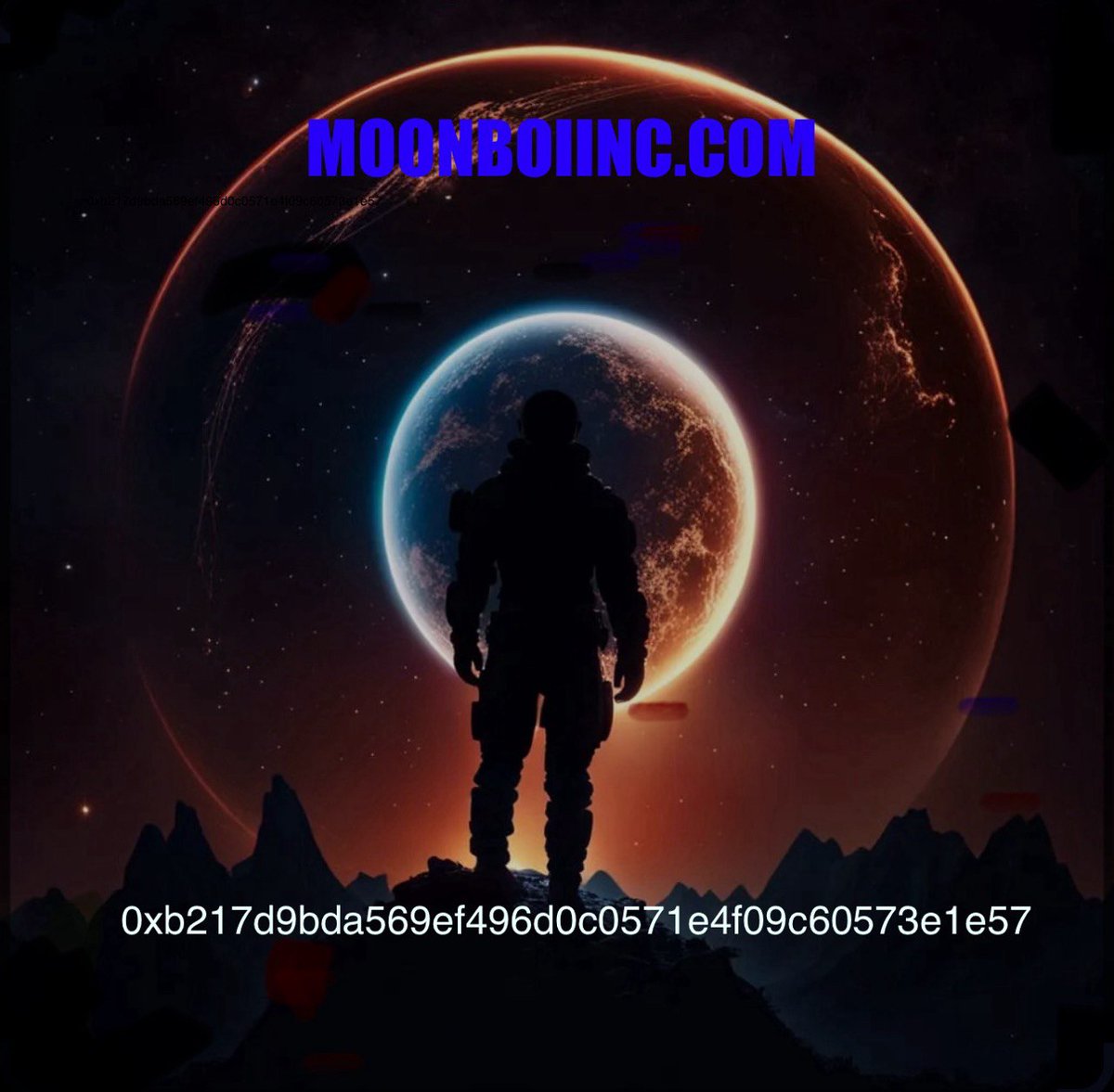 Moon Boi LLC tweet media