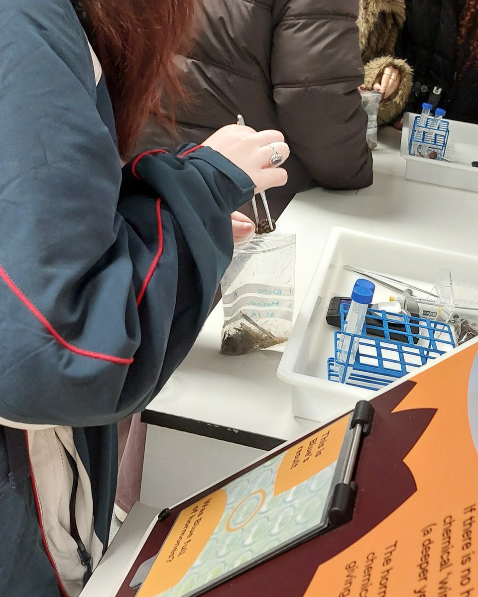 Weatherhead 6th Form tweet media