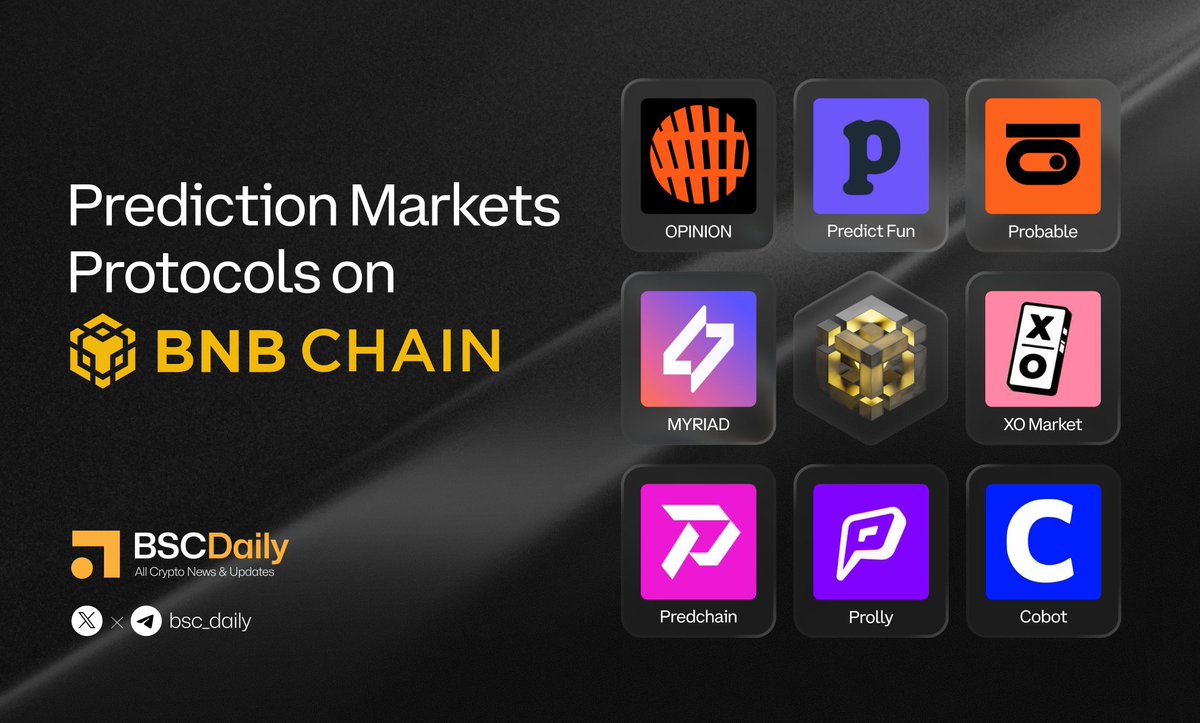 BSCDaily tweet media