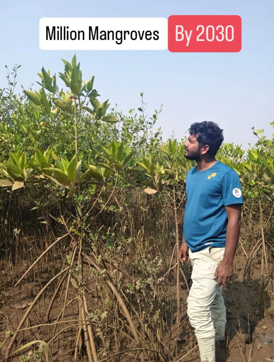 Odisha Paryavaran Sanrakshan Abhiyan Trust tweet media