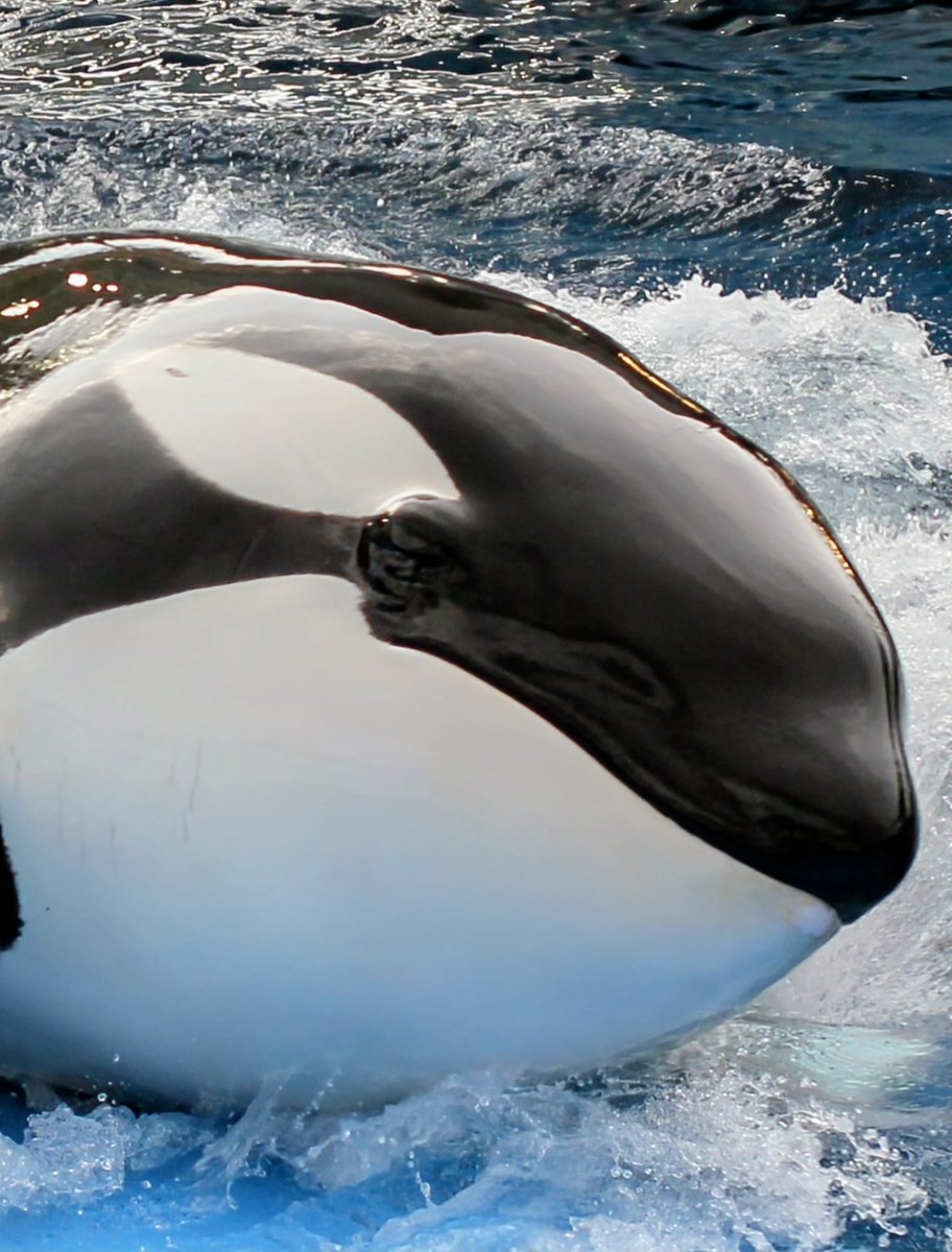 HIRO (@HIROrx78f00) / Posts / X