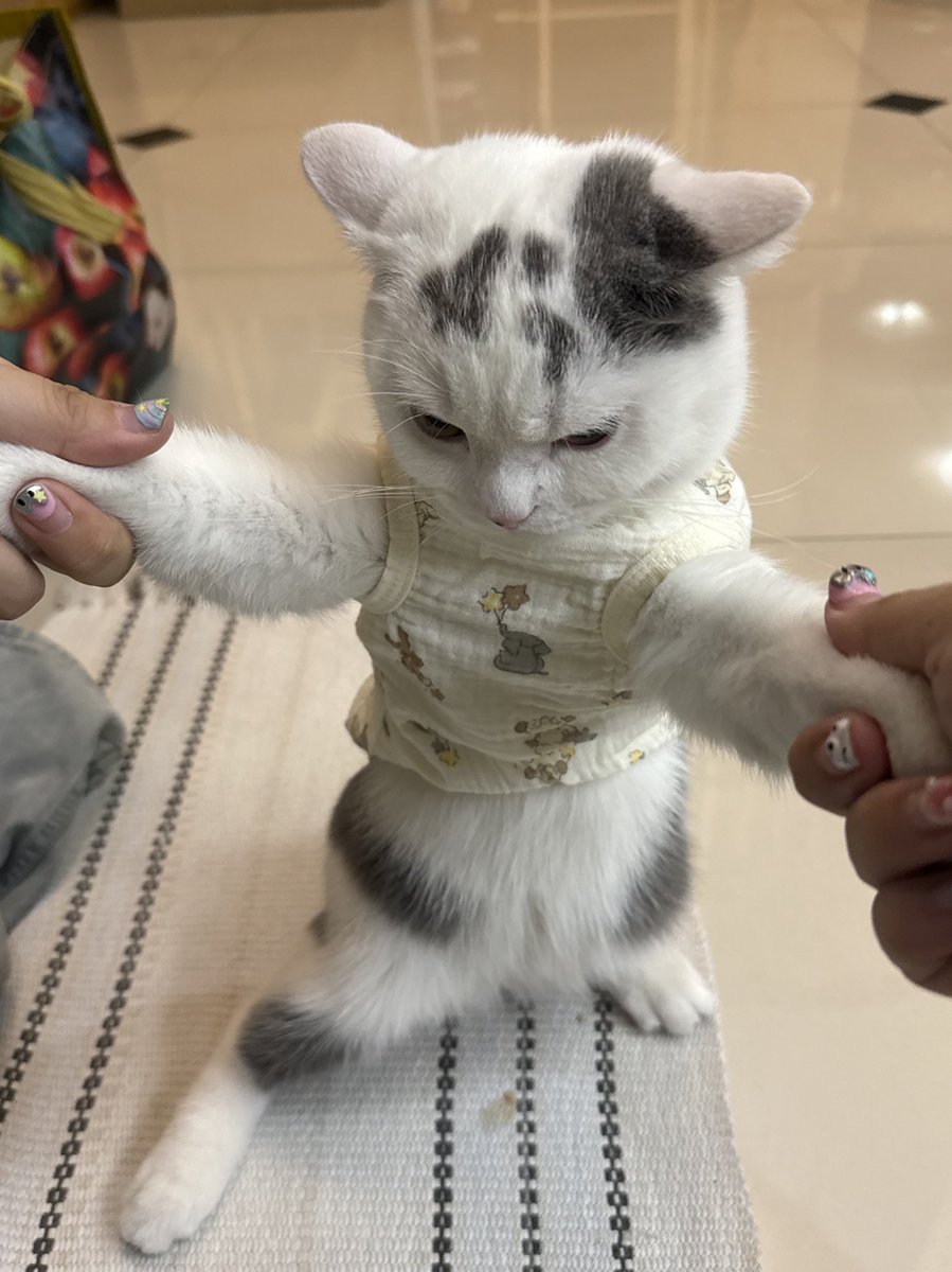 ทางนี้จะต่อยแม่อยู่แล้วว