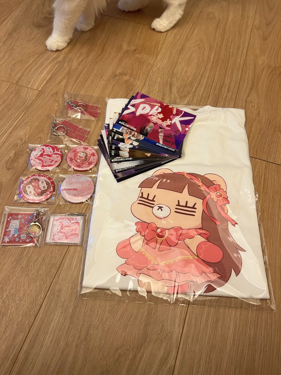 kore_nyan's tweet photo. 届いた🫶かわいい🎀🤍 https://t.co/sT6Wlyiego