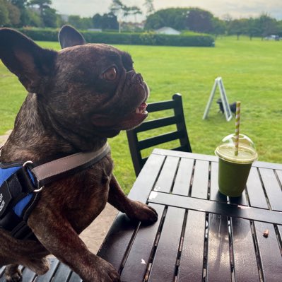 ploddercfc's tweet image. #NewProfilePic