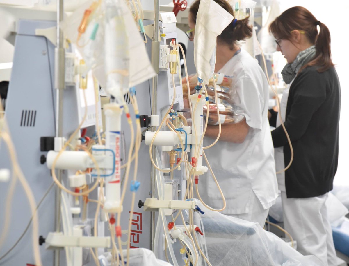 avericum's tweet image. ¡11 años de #AvericumGuía! 11 años de dedicación, esfuerzo y pasión por ofrecer un cuidado #renal de excelencia y un bienestar integral a los pacientes. Un enorme agradecimiento a cada miembro de nuestro equipo: asistencial y técnico #Avericum #diálisis #nefrología