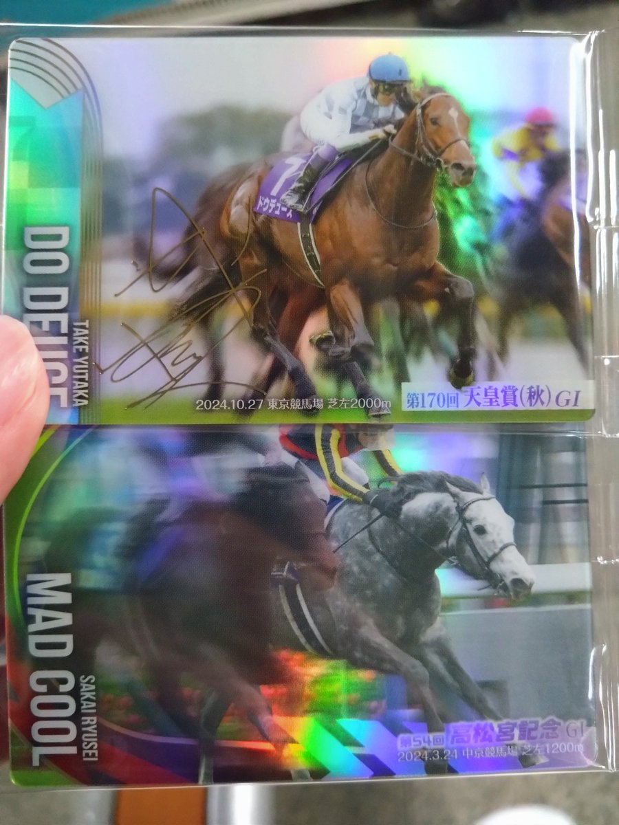 激レア武豊金箔直筆サイン入りドゥデュース ジャパンカップ G1 トレカ