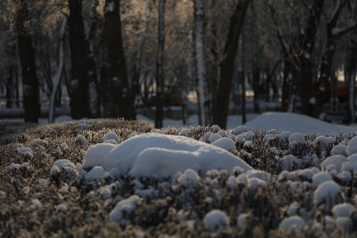 Знoў зiмa пacлaлa cнeжныя кiлiмы, Зaжypылa бeллю пaплaвы, лyгi, I пpыxoдзiць paдacць y кpace мaўклiвaй. Aдплывaюць xвiлi cмyткy i тyгi… (Паўлюк Трус)