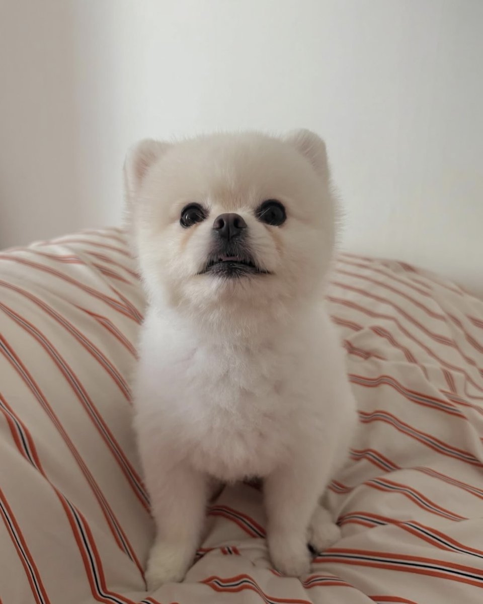 토토핫⩤ ＫＲ.ＦＯＭＯ.ＩＯ ⩥StakeCasino.gxc