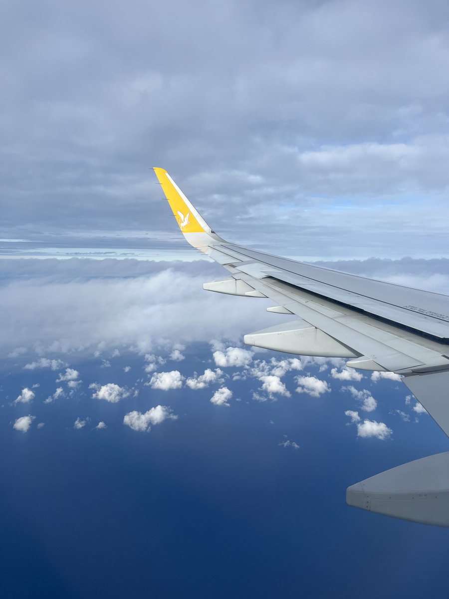 Jan Moravec tweet media