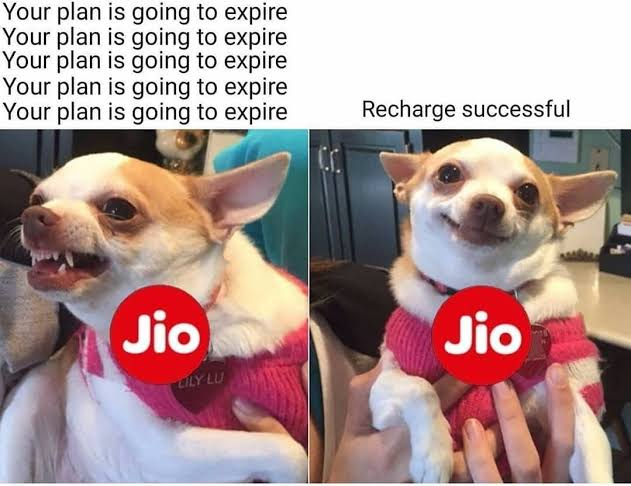 Chaitanya tweet media